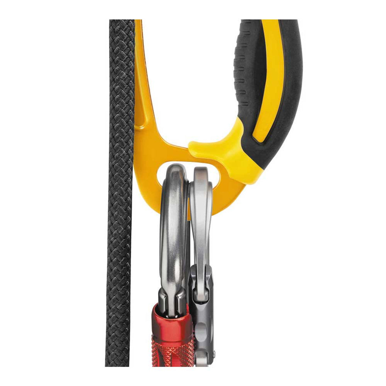  Petzl ASCENSION Ascender