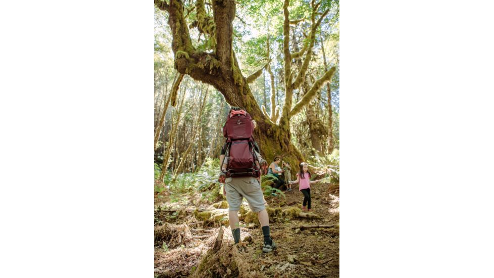  Deuter Kid Comfort Child Carrier 14 L