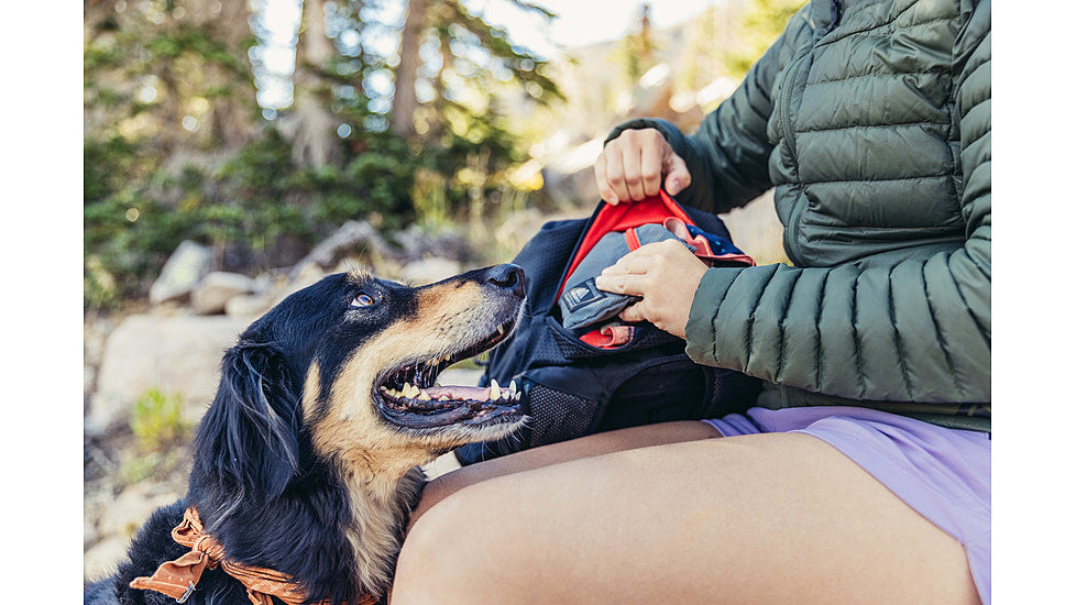  Gregory Nano 30L Backpacks